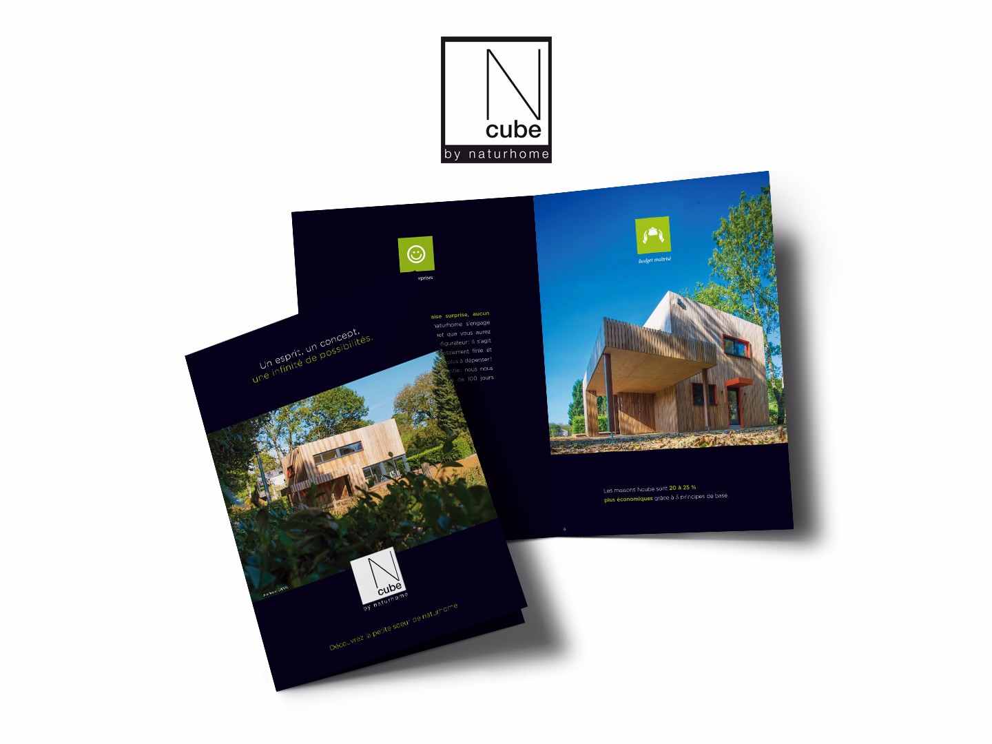 Lusis_Ncube1_Portfolio-Site