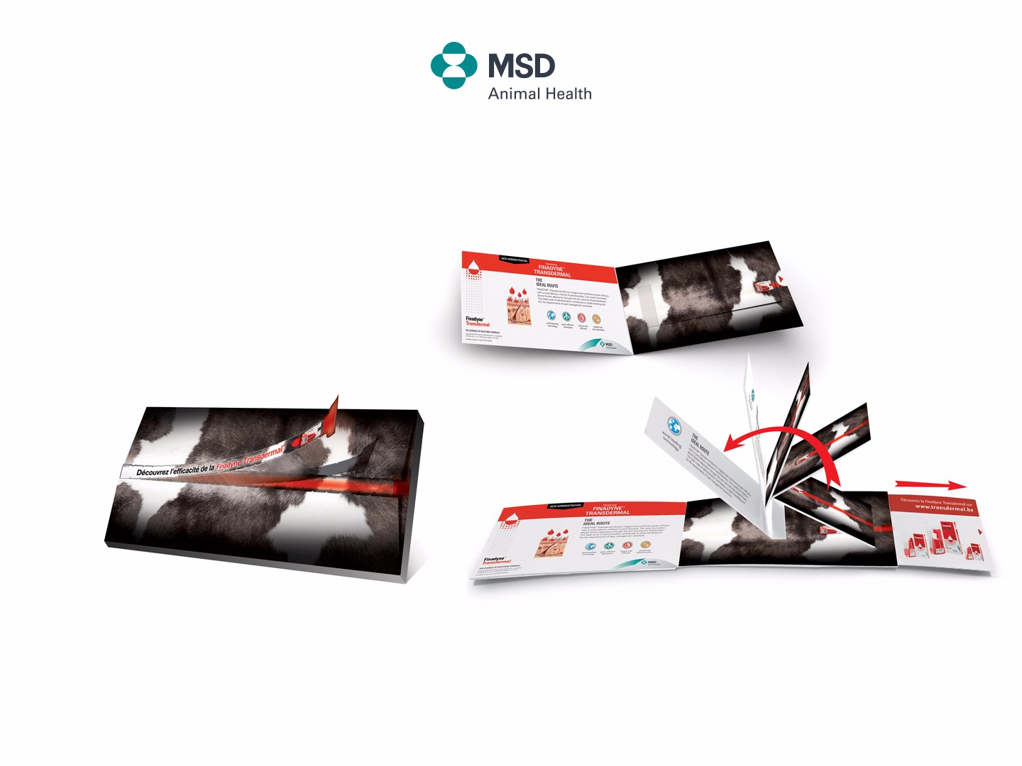 Lusis_FYnadine_MSD_Site