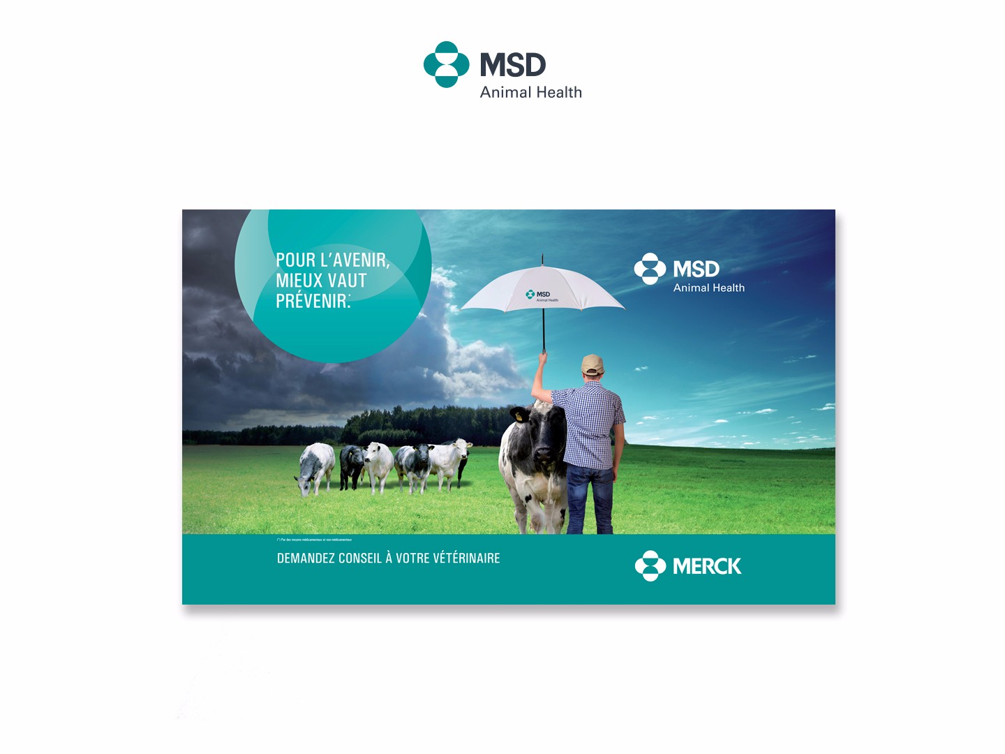 Lusis_News_MSD2_Site