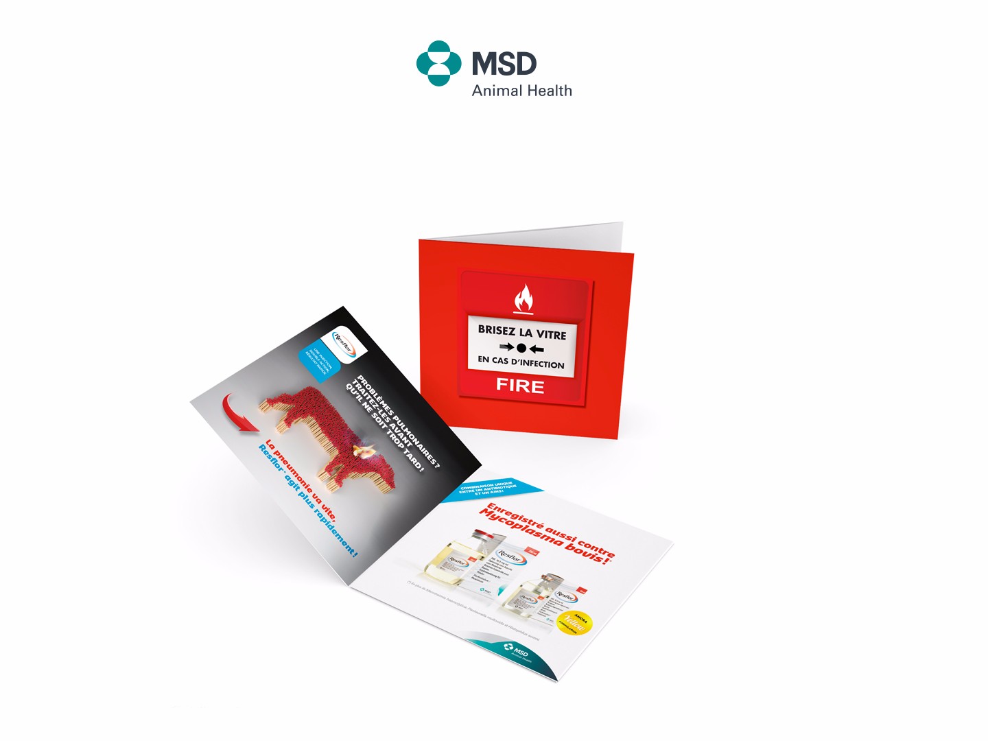Lusis_News_MSD2_Site