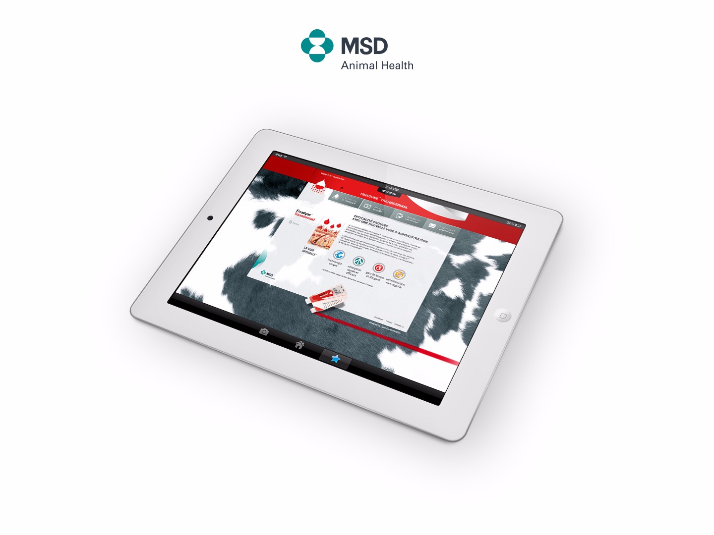 Lusis_FYnadine3_MSD_Site