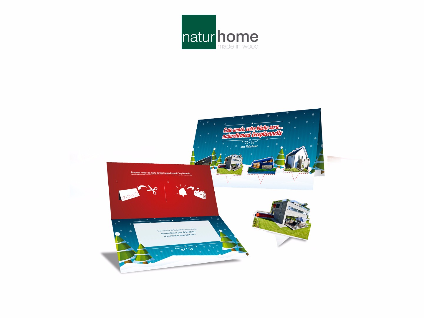 Lusis_NatureHome_Voeux_Portfolio-Site